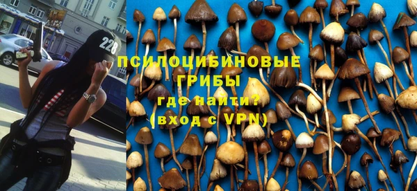 мяу мяу мука Вязники