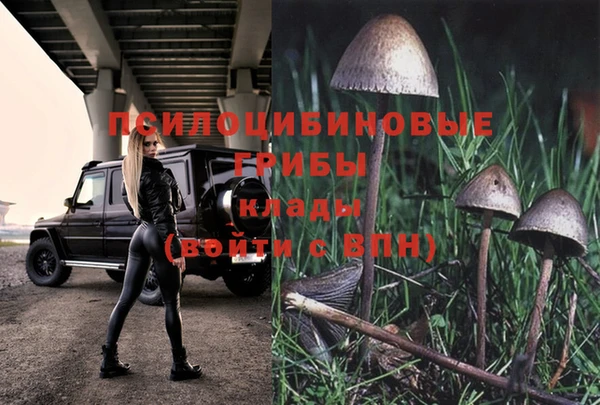 мяу мяу кристалл Вяземский